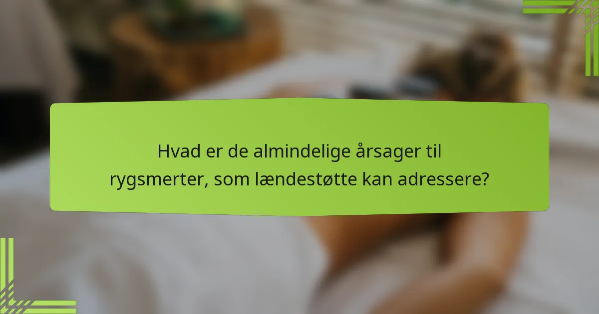 Hvad er de almindelige årsager til rygsmerter, som lændestøtte kan adressere?